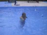 DanInPool